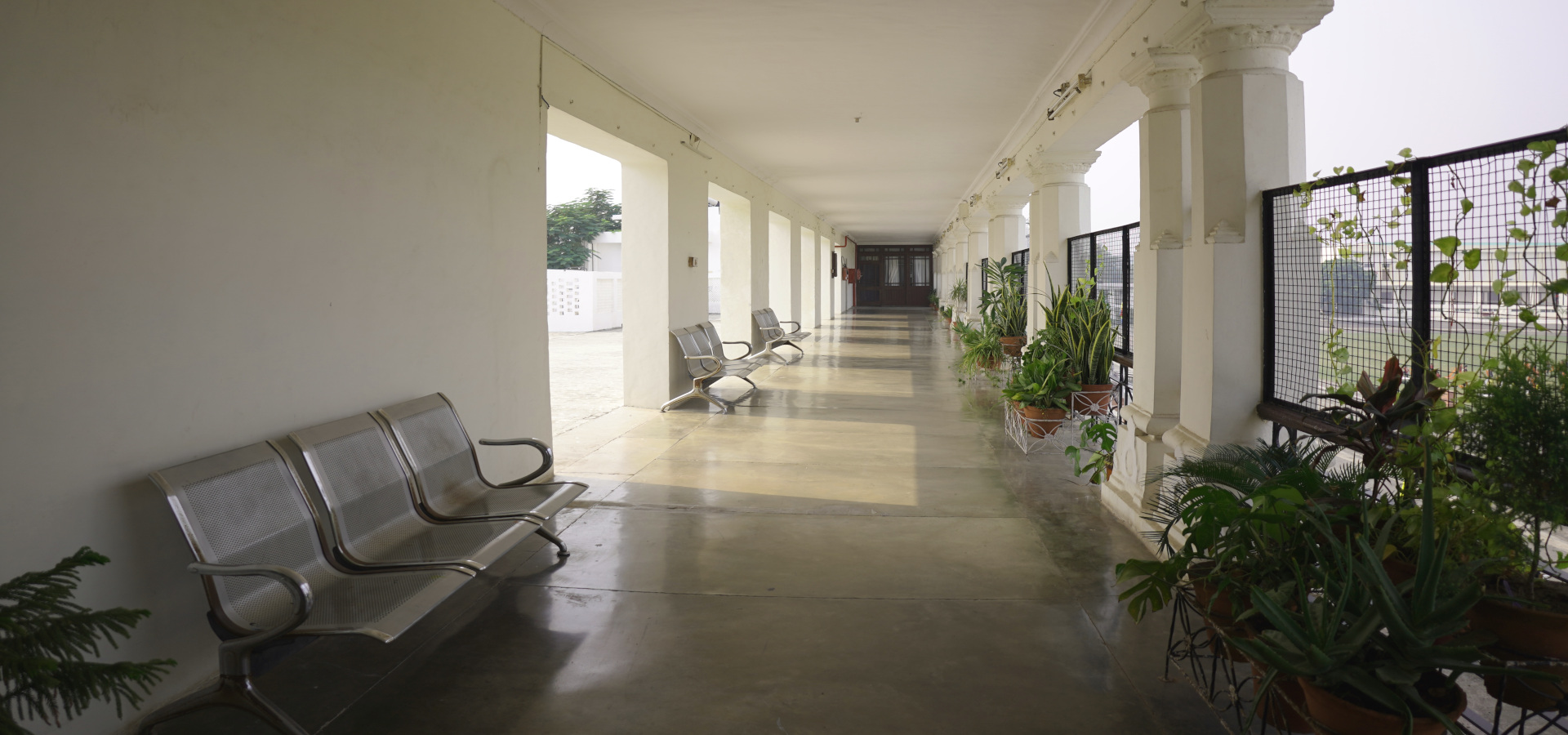 Slide Image