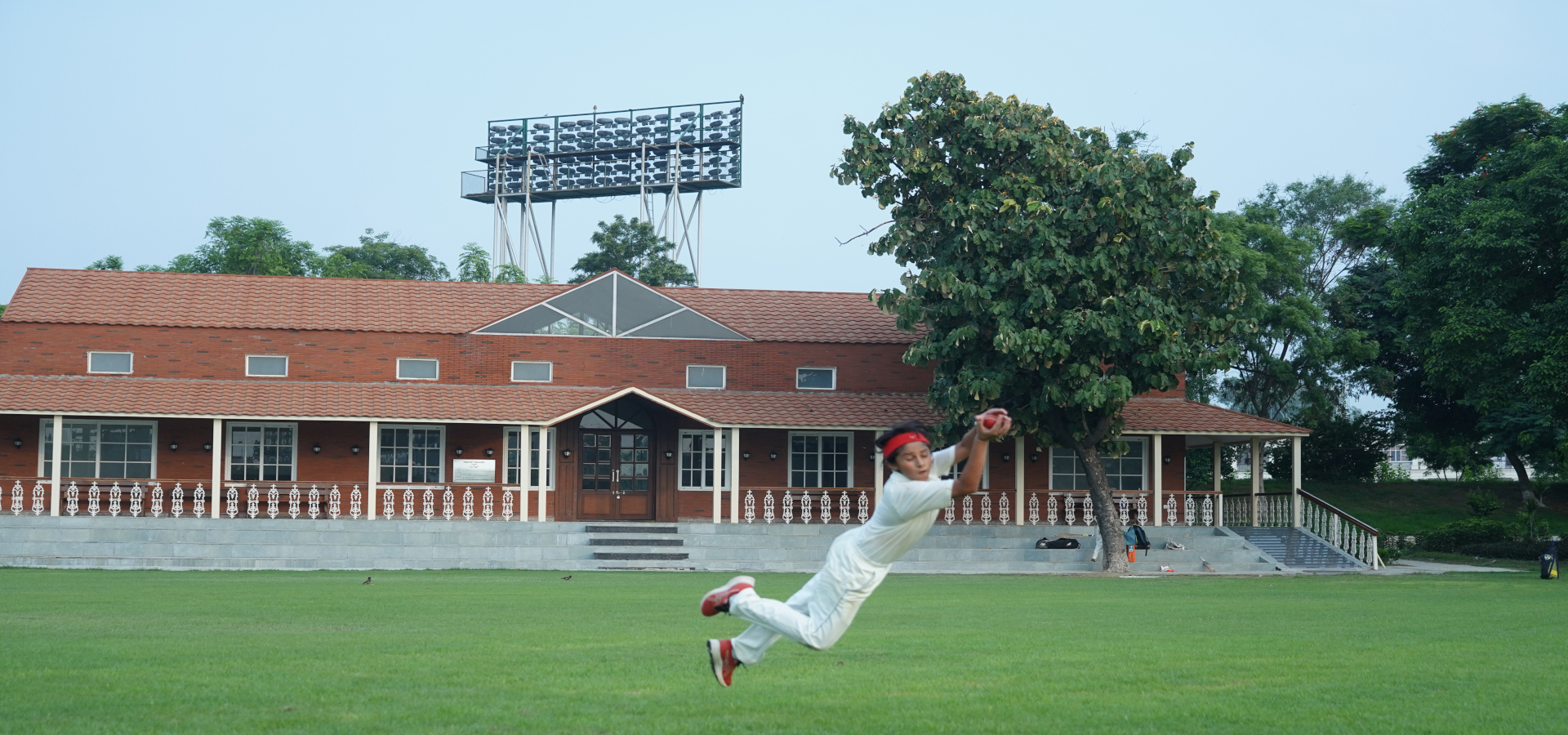 Slide Image